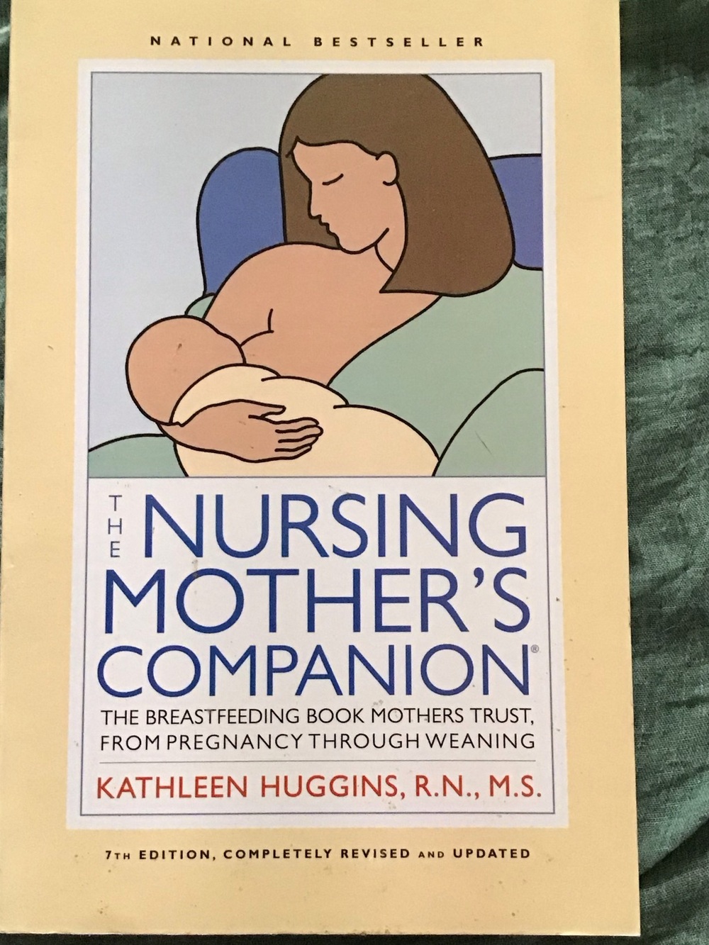 The Nursing Mother's Companion - Kathleen Huggins